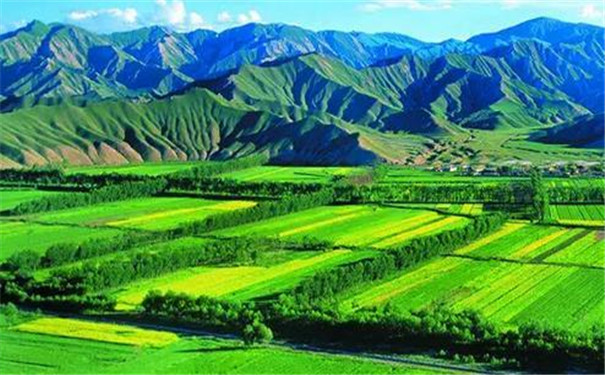 土壤墑情自動(dòng)監(jiān)測(cè)設(shè)備