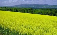 怎么用空氣負氧離子監(jiān)測系統(tǒng)？